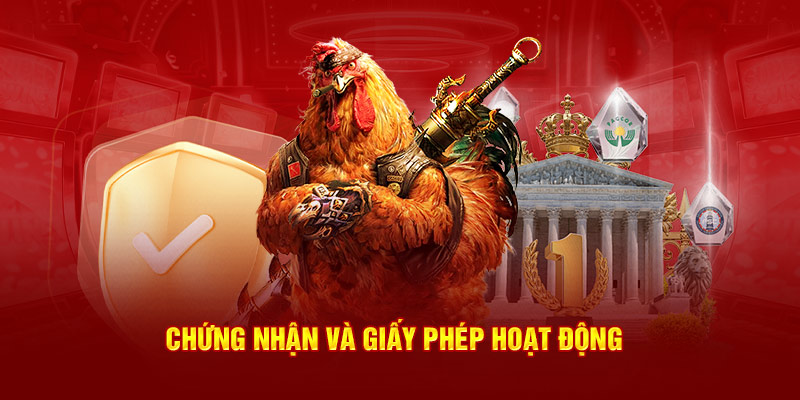 Chứng nhận và giấy phép hoạt động đá gà thomo tại GA179