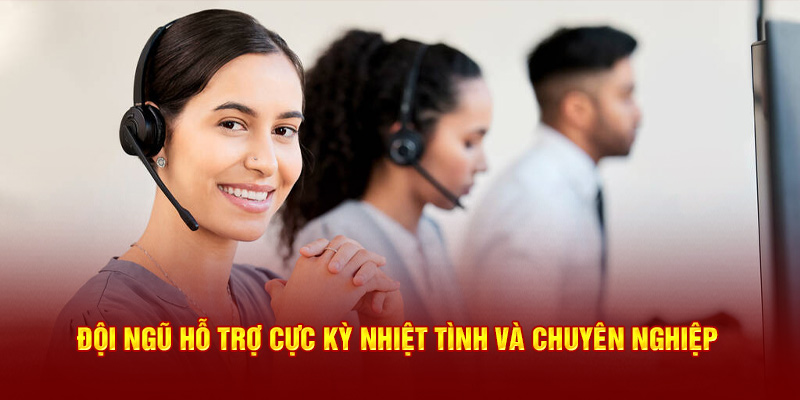 Đội ngũ trang đá gà thomo hỗ trợ cực kỳ nhiệt tình và chuyên nghiệp