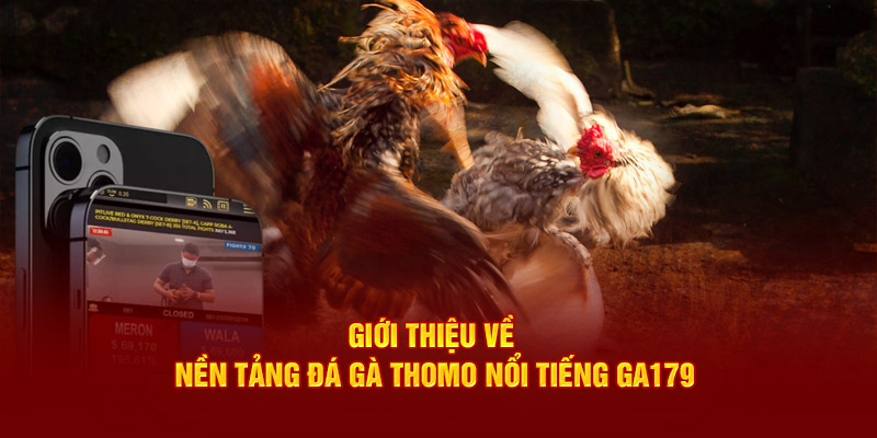 Giới thiệu về nền tảng đá gà thomo nổi tiếng GA179