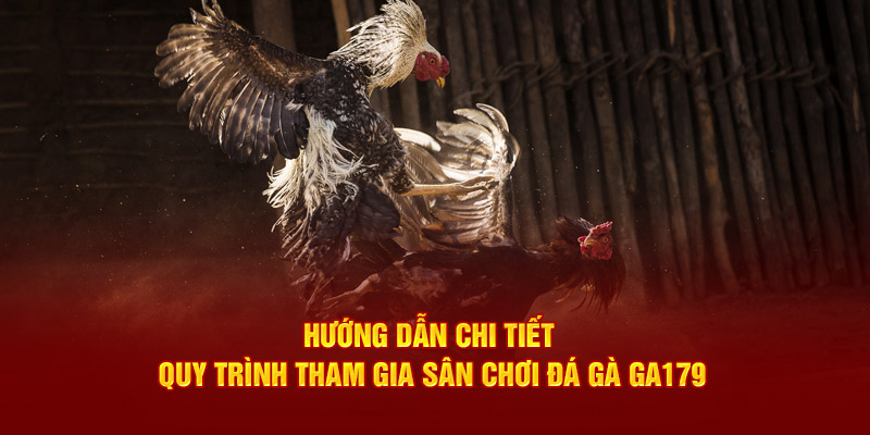 Hướng dẫn chi tiết quy trình tham gia sân chơi đá gà thomo GA179