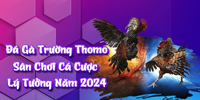 đá gà trường thomo thumb