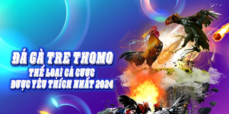 đá gà tre thomo thumb